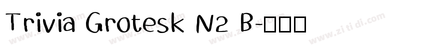 Trivia Grotesk N2 B字体转换